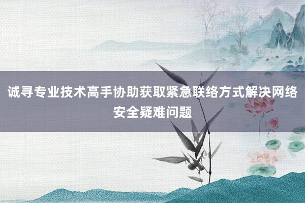 诚寻专业技术高手协助获取紧急联络方式解决网络安全疑难问题